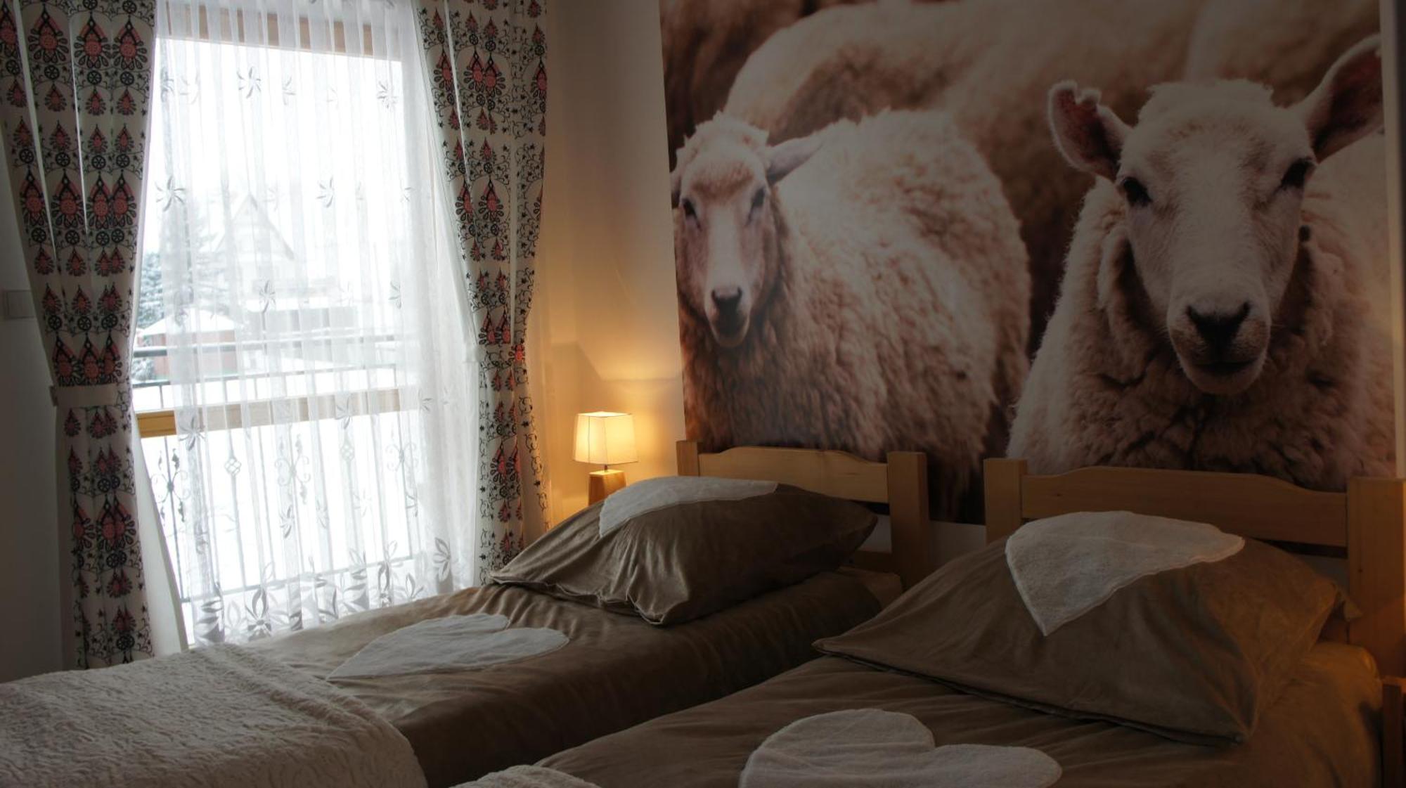 Gronik Groń Quarto foto